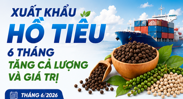 Infographic | Xuất khẩu hồ tiêu 6 tháng tăng cả lượng và giá trị