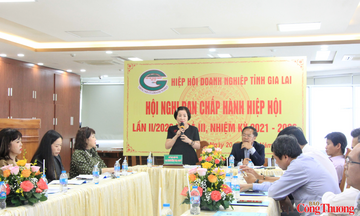 Hiệp hội Doanh nghiệp tỉnh Gia Lai vượt khó, tạo sức bật chặng đường mới