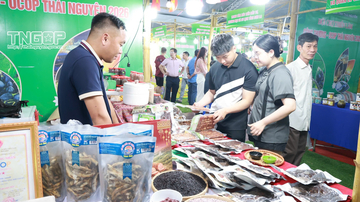 Thái Nguyên: Nỗ lực mở rộng thị trường cho sản phẩm OCOP