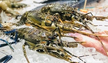Xuất khẩu thủy sản khởi sắc, thị trường Trung Quốc tăng gần 39%