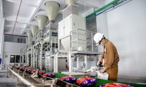 Nghị quyết 57: Tạo động lực mới cho ngành hoá chất