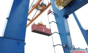 Hà Nội thí điểm liên thông dữ liệu phục vụ logistics - xuất nhập khẩu