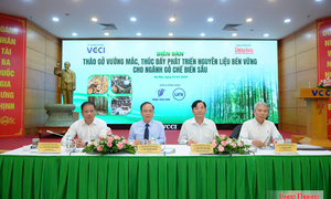 Xây dựng chuỗi cung ứng gỗ đáp ứng yêu cầu thị trường toàn cầu