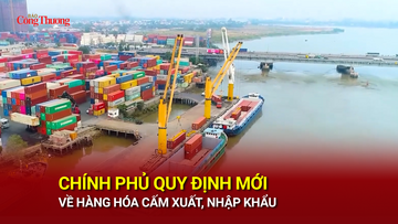 Chính phủ quy định mới về hàng hóa cấm xuất, nhập khẩu