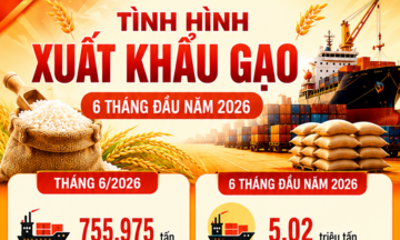 Infographic | 6 tháng, xuất khẩu gạo đạt 5,02 triệu tấn