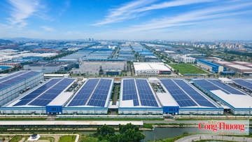 Bắc Ninh đẩy mạnh thu hút dòng vốn chất lượng cao từ Nhật Bản