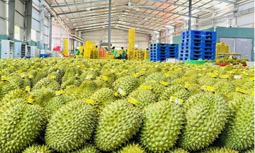 6 tháng năm 2026, xuất khẩu rau quả tăng 19,4% so với cùng kỳ