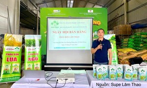 Lâm Thao tăng cường kết nối nông dân qua tập huấn kỹ thuật và bán hàng