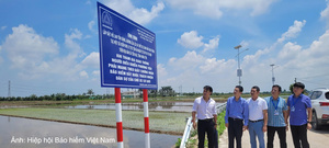 Xã Tiền Hải (Hưng Yên): Bàn giao, đưa vào sử dụng công trình cảnh báo an toàn giao thông