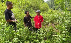 Quảng Trị: Tiếp nhận thông tin về mộ liệt sĩ chưa được quy tập trên đất Lào