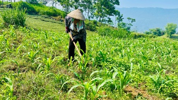 Ban hành Chương trình công tác năm 2026 về các chương trình mục tiêu quốc gia