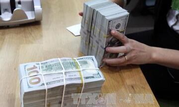 Tỷ giá USD hôm nay 28/7/2026: Tỷ giá trung tâm tăng 10 đồng