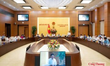 Xem xét cơ chế đặc thù xây dựng đô thị lấn biển tại Đà Nẵng