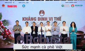 Phân bón Cà Mau nâng tầm giá trị cho cà phê Robusta Việt Nam