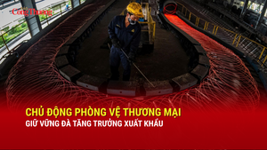 Chủ động phòng vệ thương mại giữ vững đà tăng trưởng xuất khẩu