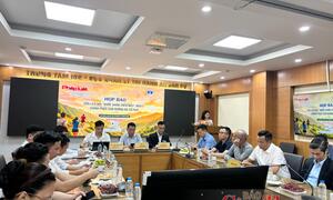 Khởi động giải leo núi chinh phục con đường đá cổ Pavi 2026