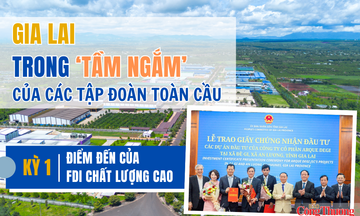 Gia Lai trong ‘tầm ngắm’ của các tập đoàn toàn cầu - Kỳ 1: Điểm đến của FDI chất lượng cao