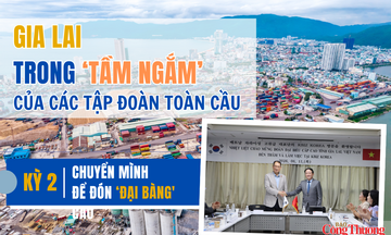 Gia Lai trong ‘tầm ngắm’ của các tập đoàn toàn cầu - Kỳ 2:  Chuyển mình để đón 'đại bàng'