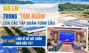 Gia Lai trong ‘tầm ngắm’ của các tập đoàn toàn cầu - Kỳ cuối: Làm gì để giữ chân nhà đầu tư?