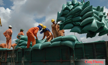 Bộ Công Thương tạo động lực mới thúc đẩy xuất khẩu gạo bền vững, hiệu quả