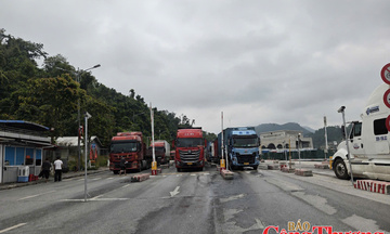 Cập nhật tin xuất nhập khẩu qua các cửa khẩu Lạng Sơn ngày 29/7/2026