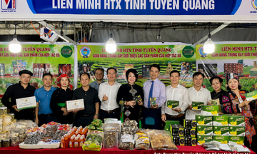 Hội chợ xúc tiến thương mại Hợp tác xã khu vực miền Bắc năm 2026: Cơ hội kết nối giao thương và phát triển sản xuất kinh doanh