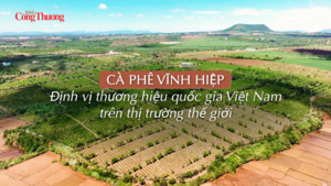 Cà phê Vĩnh Hiệp: Định vị thương hiệu quốc gia Việt Nam trên thị trường thế giới