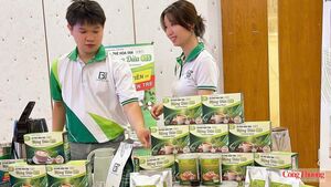 Vĩnh Long xây dựng ngành dừa tỷ USD từ vùng nguyên liệu đến chế biến