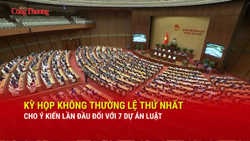 Kỳ họp không thường lệ thứ Nhất cho ý kiến lần đầu đối với 7 dự án luật