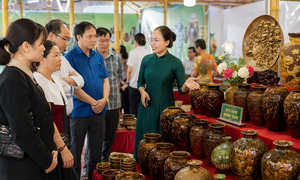 Khuyến công Bắc Ninh: Tập trung hỗ trợ phát triển sản phẩm RISEP