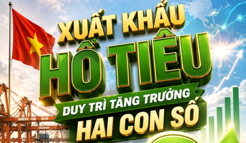 Infographic| Việt Nam xuất khẩu hồ tiêu duy trì tăng trưởng hai con số