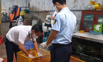 Chuyển cơ quan điều tra vụ gần 1 tấn thịt lợn nghi nhiễm dịch tả lợn châu Phi