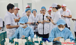 Gia Lai tạo động lực bứt phá từ các Nghị quyết của Bộ Chính trị
