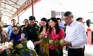 Sở Công Thương Lạng Sơn đẩy mạnh xúc tiến tiêu thụ na Chi Lăng