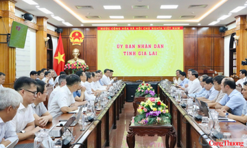 Tỉnh Gia Lai và EVN thống nhất giải pháp phát triển lưới điện theo Quy hoạch điện VIII điều chỉnh