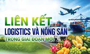 Infographic | Liên kết logistics và nông sản trong giai đoạn mới