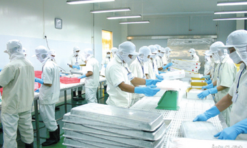 Chuỗi sản xuất khép kín mở dư địa cho cá tra Việt vào thị trường Halal