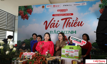 Từ OCOP 5 sao đến thương hiệu quốc gia: Hành trình của vải Hồng Xuân