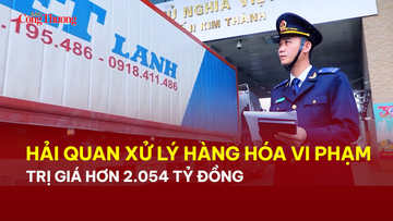Hải quan xử lý hàng hóa vi phạm trị giá hơn 2.054 tỷ đồng 