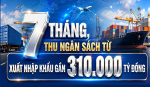 Infographic| 7 tháng, thu ngân sách từ xuất nhập khẩu gần 310.000 tỷ đồng