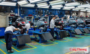 Nghị quyết phiên họp Chính phủ thường kỳ tháng 7/2026: Thúc đẩy tăng trưởng và ổn định kinh tế vĩ mô