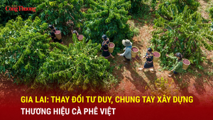 Gia Lai: Thay đổi tư duy, chung tay xây dựng thương hiệu cà phê Việt