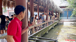 Cần Thơ: Du lịch sinh thái hút khách, hình thành chuỗi trải nghiệm đa dạng