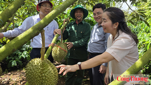 Đẩy nhanh cấp mã số vùng trồng, tạo thuận lợi cho xuất khẩu nông sản