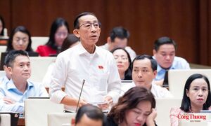 Hoàn thiện Luật Dầu khí: Hài hòa phát triển kinh tế với quốc phòng, an ninh