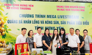Nhãn lồng Hưng Yên 'bùng nổ' trên livestream, chốt gần 500 đơn hàng