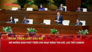 Hoàn thiện Luật Dầu khí: Mở không gian phát triển cho hoạt động thu giữ, lưu trữ carbon