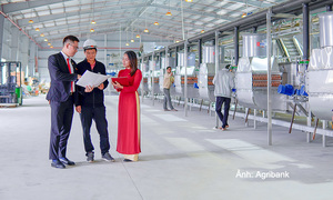 Agribank tiên phong thúc dòng vốn vào các động lực tăng trưởng