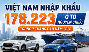 Infographic | Việt Nam nhập khẩu 178.223 ô tô nguyên chiếc trong 7 tháng