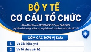 Infographic | Cơ cấu tổ chức của Bộ Y tế gồm 19 đơn vị